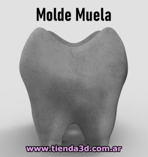 Molde Muela