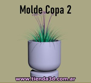 Molde Copa 2